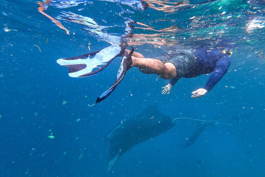 Big Island: Snorkel with Manta Rays - Manta Guarantee - Should You Book This Manta Ray Snorkel?