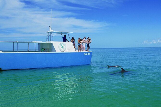 Biologist Owned & Operated: Dolphin Watching & Guided Snorkeling - Included Comforts: Snacks, Water, Bathrooms, and Shade
