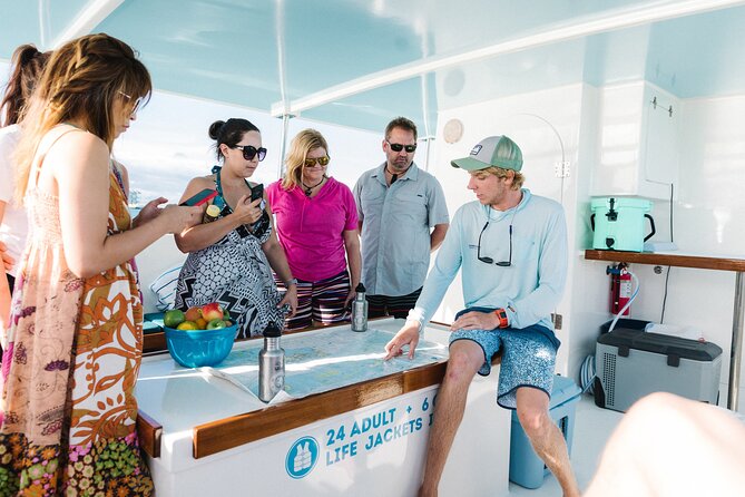 Biologist Owned & Operated: Dolphin Watching & Guided Snorkeling - What the Guides Teach You (Marine Life, Not Just Facts)