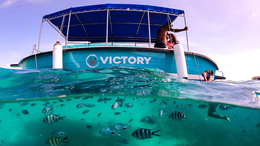 Blue Bay: Blue Bay Glass Bottom Boat Visit and Snorkeling - Should you book Blue Bay Glass Bottom Boat and Snorkeling?
