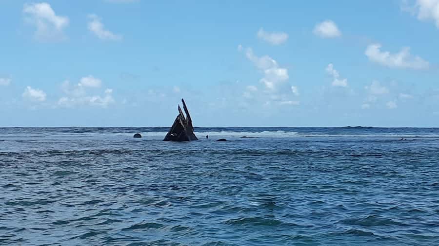 Blue Bay: Half-Day Snorkeling Trip with Creole Picnic Lunch - Why Blue Bay Marine Park Works for a Half-Day Snorkel