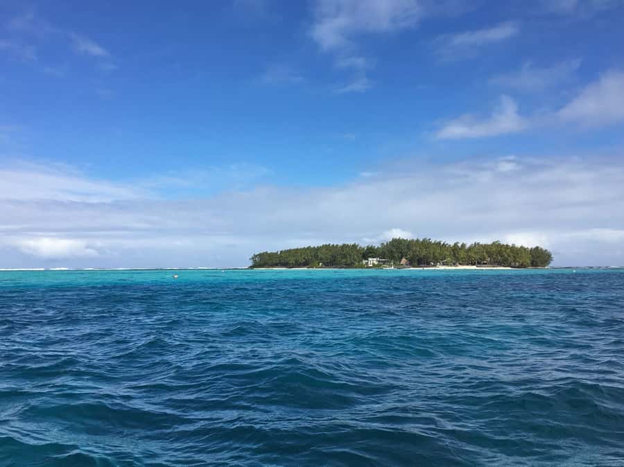 Blue Bay: Half-Day Snorkeling Trip with Creole Picnic Lunch - Practical Tips to Make Your 4 Hours Smoother