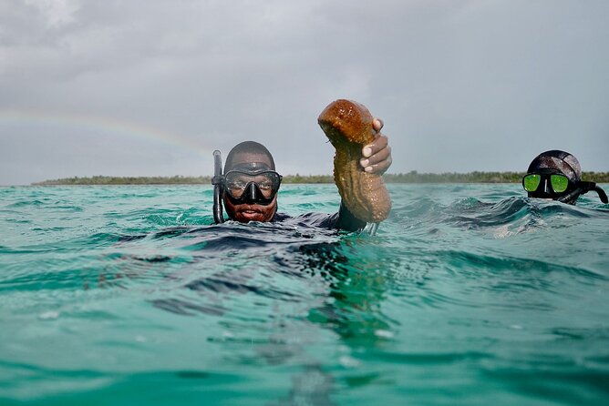 Blue hole, drift snorkeling, turtles Celebration Key is welcome - Sweetings Cay beach time and the lunch you’ll actually be ready for