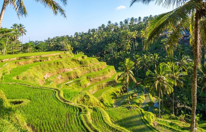 Blue Lagoon Bali Snorkeling Experience - Key things worth knowing before you go