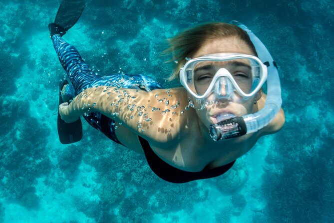 Blue Lagoon Bali Snorkeling Experience - Blue Lagoon Beach: Marine Life, Turtles, and Water-Condition Reality