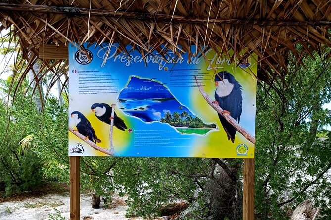 BLUE LAGOON | Eco-tour | Snorkeling Avatoru | Secret Green Lagoon - Stop 1: Snorkeling in the Bay of Sharks
