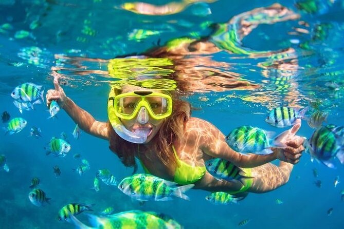 Blue Lagoon Snorkeling - Lunch - Kantolampo - Tibumana Waterfall - Why your snorkeling guide matters (and what to expect in the water)