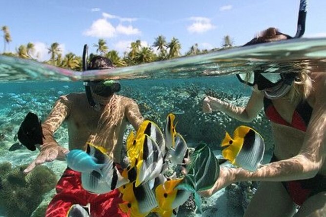 Blue Lagoon Snorkeling - Lunch - Kantolampo - Tibumana Waterfall - Best fit: who will love this day the most