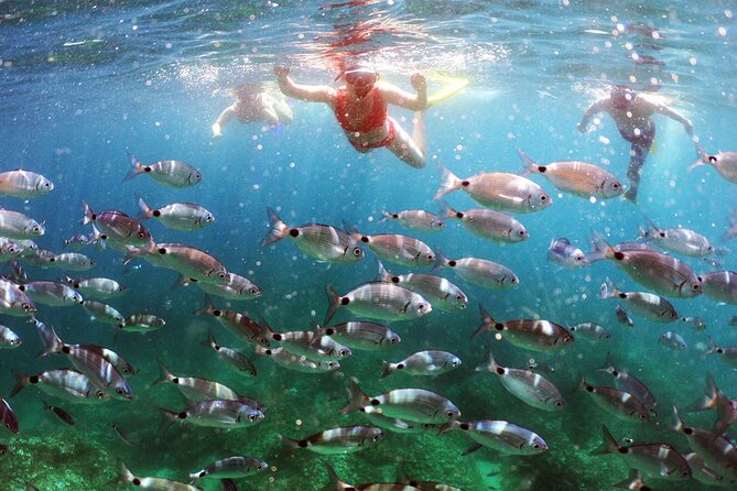 BOAT & KAYAK! Sea Adventure - Snorkeling & Cliff Jumps - Key Highlights Worth Booking For
