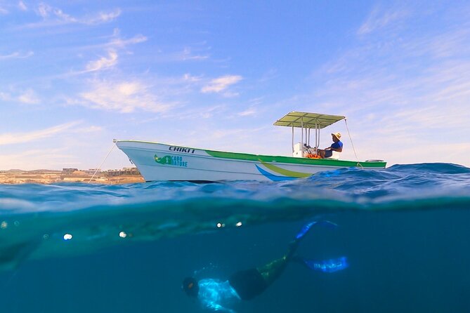 Boat ride to the Arch and Snorkel - El Arco de Cabo San Lucas: The Photo Stop That Also Teaches You How to Look