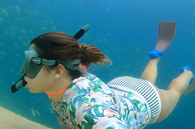 Boat ride to the Arch and Snorkel - Snorkeling at Pelican Rock Reef: Fish Variety, Stingrays, and Safety