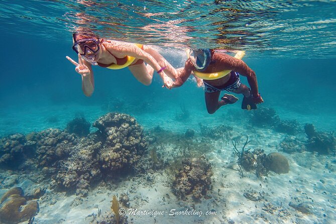 Boat Trip for Snorkeling Discovery of Corals - Starting at La Marina du Marin: Easy to Find, Easy to Settle In