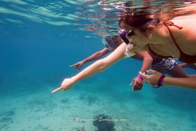 Boat Trip for Snorkeling Discovery of Corals - The Boat Ride Out: Why It’s Part of the Experience