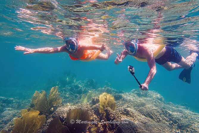 Boat Trip for Snorkeling Discovery of Corals - When You’re Nervous About Snorkeling: Stéphane’s Hands-On Approach
