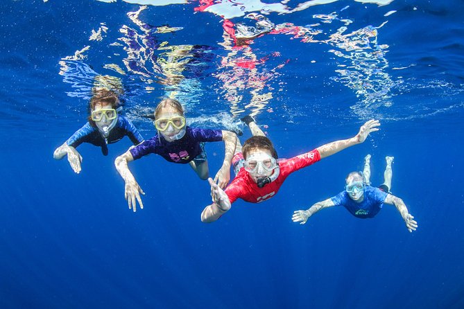 Boat Trip in Crete with Guided Snorkeling and Free Pick up! - Key highlights worth getting excited about