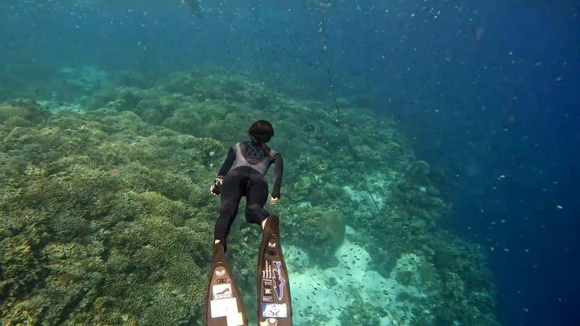 Bohol: Boat Tour to Sandbar and Snorkeling with Turtles - Snorkeling with turtles: how the guide setup really works