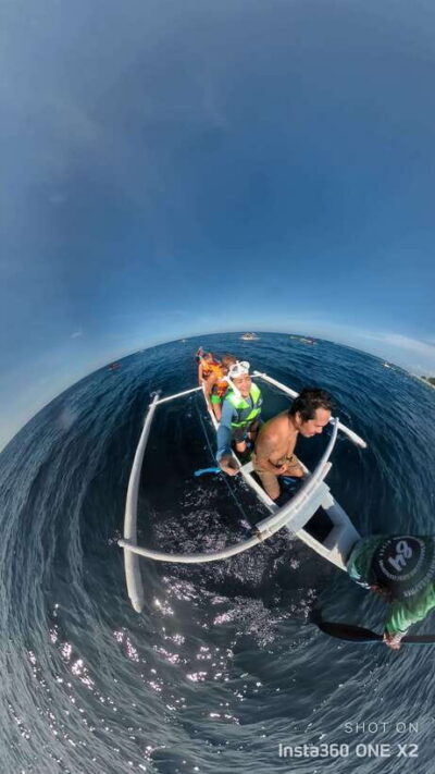 Bohol: Boat Tour to Sandbar and Snorkeling with Turtles - Balicasag Island: the dolphin search that keeps the day exciting