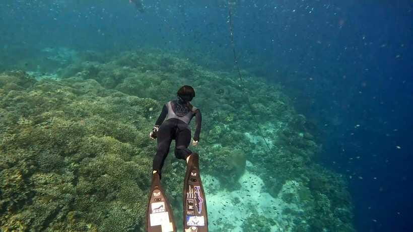 Bohol: Boat Tour to Sandbar and Snorkeling with Turtles - Weather and seasickness: the one consideration that can make or break it