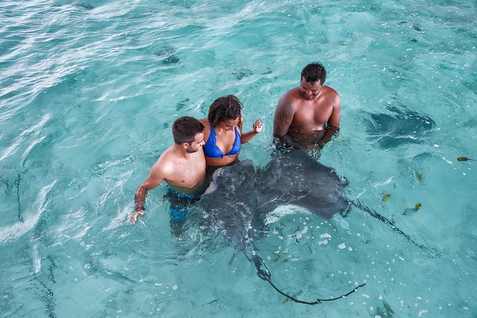 Bora Bora Eco Snorkel Cruise Including Snorkeling with Sharks and Stingrays - Key things to know