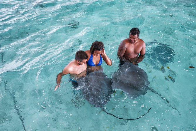 Bora Bora Eco Snorkel Cruise Including Snorkeling with Sharks and Stingrays - Stop 2: Coral Garden, Clear Water, and Reef Life You Can Actually See