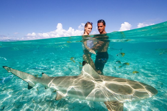 Bora Bora Eco Snorkel Cruise Including Snorkeling with Sharks and Stingrays - Who This Tour Suits Best (and Who Should Consider Alternatives)