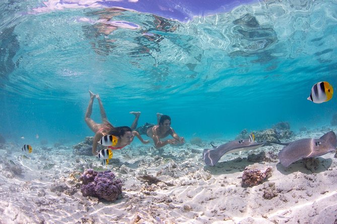 Bora Bora Eco Snorkel Cruise Including Snorkeling with Sharks and Stingrays - Price and What $118.37 Gets You (and Why It Can Be Worth It)