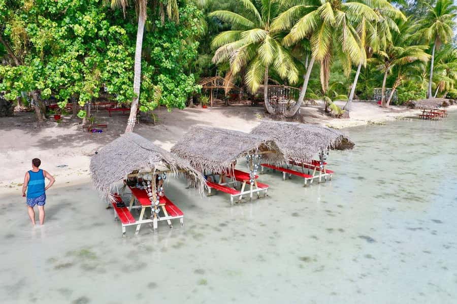 Bora Bora: Full-Day Lagoon Snorkelling Tour - Sharks, Manta Rays, and Other Lagoon Neighbors