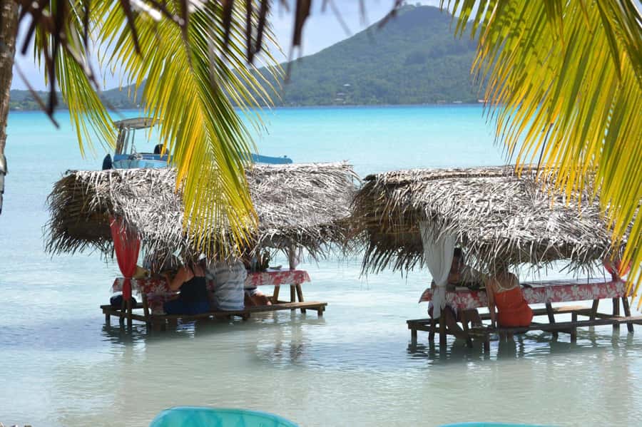 Bora Bora: Full-Day Lagoon Snorkelling Tour - Guide Team Energy: Coco, Rumi, Ari, Manu, and Maui