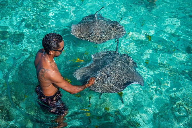 Bora Bora Full Day Snorkeling with Lunch - The full-day flow: how the 7 hours usually feel