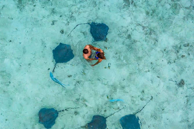 Bora Bora Snorkel Cruise by Polynesian Outrigger Canoe with BBQ Island Lunch - Pickup, Timing, and the 9:00 a.m. Start You Should Plan Around