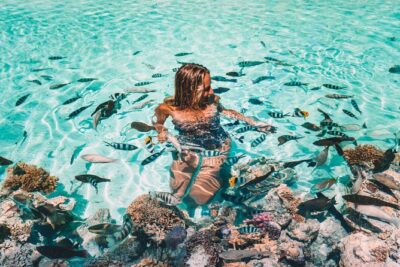 Bora Bora Snorkel Cruise by Polynesian Outrigger Canoe with BBQ Island Lunch - Stop One: Coral Gardens and the Lagoon Route That Covers a Lot