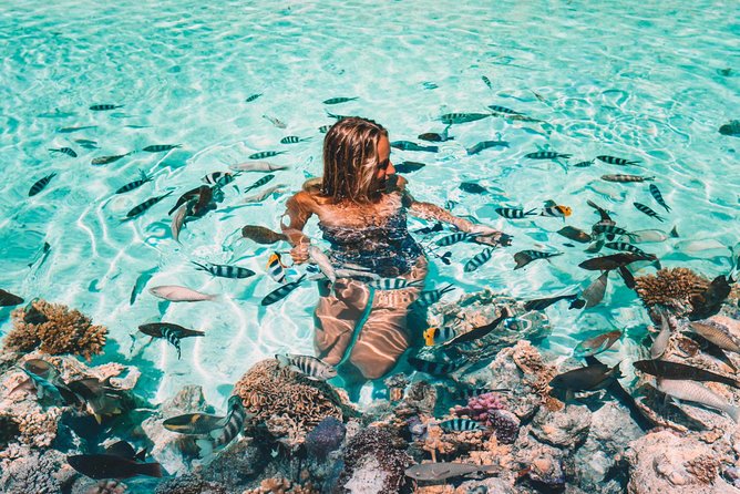 Bora Bora Snorkel Cruise by Polynesian Outrigger Canoe with BBQ Island Lunch - Stop One: Coral Gardens and the Lagoon Route That Covers a Lot
