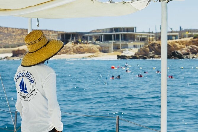 Cabo Blue Snorkeling Cruise, Open Bar and Lunch in Cabo San Lucas - Whale watching on this route: when the season matters