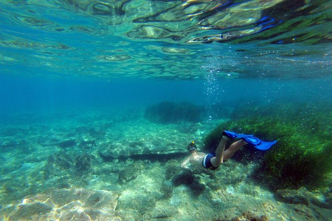 Cabo de Gata Active. Guided kayak and snorkel route through coves of the Natural Park - Safety, support boat, and why the details feel reassuring