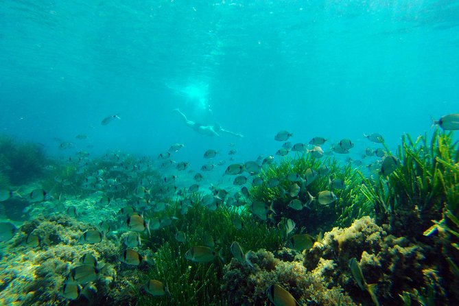 Cabo de Gata Active. Guided kayak and snorkel route through coves of the Natural Park - Who this kayak and snorkel tour fits best