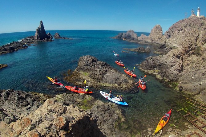 Cabo de Gata Active. Guided kayak and snorkel route through coves of the Natural Park - Snorkeling gear, sea life moments, and how to spot things