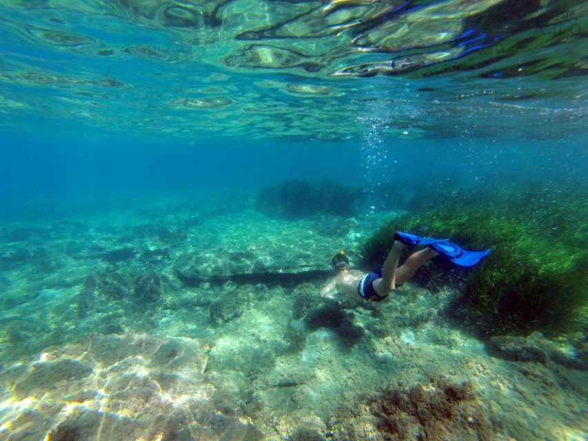 Cabo de Gata: Natural Park Kayaking and Snorkel Excursion - Snorkeling in the marine reserve: timing, gear, and what you’ll notice