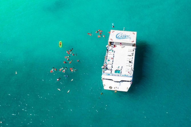 Cabo Escape Breakfast Snorkel Cruise - Getting There: The 9:00 am Start at O Dock