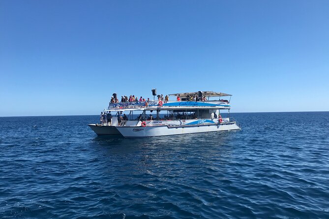Cabo Escape Snorkel Fun Cruise - Lunch and Open Bar on Deck: Food, Drinks, and the On-Boat Mood