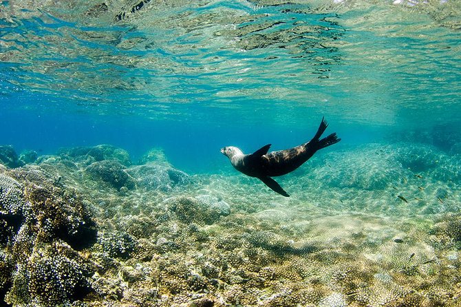 Cabo Pulmo National Park Snorkel Expedition from Cabo San Lucas - Equipment, comfort, and the “small print” that affects your day