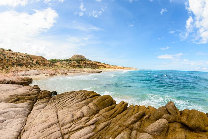 Cabo Pulmo National Park Snorkel Expedition from Cabo San Lucas - Who this tour fits best (and who should skip it)