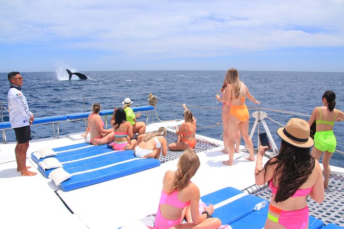 Cabo San Lucas All-Inclusive Private Catamaran Snorkeling Cruise - Whale-season chances (Dec–Mar): the part you should be realistic about