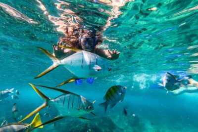 Cabo San Lucas Shopping, Tequila Tasting, and Snorkel Tour - Price and what you should budget beyond the listed fee
