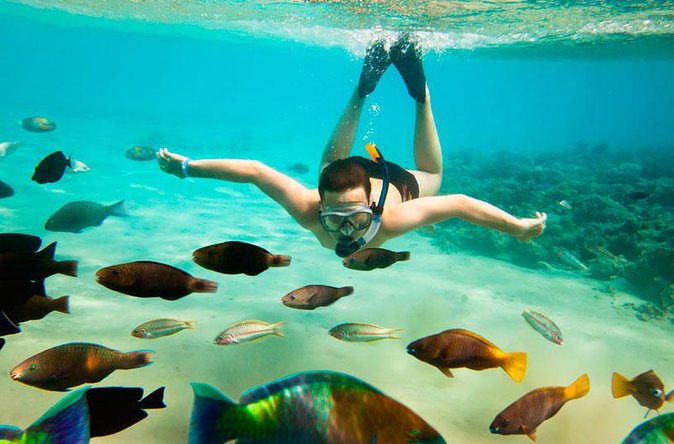 Cabo San Lucas Shopping, Tequila Tasting, and Snorkel Tour - Glassblowing stop: craft you can actually watch