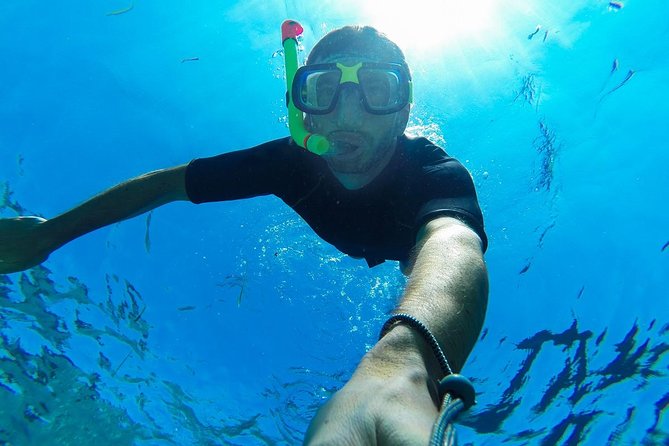 Cabo San Lucas Short Snorkeling Tour with Divemaster Guide - Cabo San Lucas in Two Hours: What You’re Actually Buying