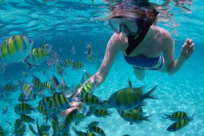 Cabo San Lucas Short Snorkeling Tour with Divemaster Guide - Calm-Bay Snorkeling: What to Expect in the Water