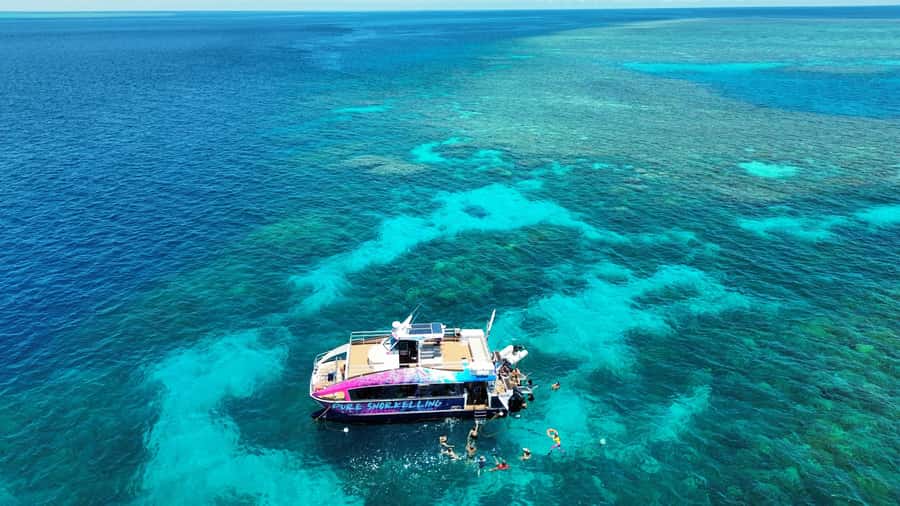 Cairns: All-Inclusive Great Barrier Reef Half-Day Snorkeling - Outer Reef, less waiting: the speed-boat strategy