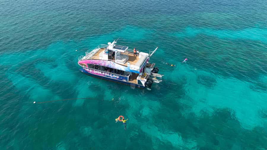 Cairns: All-Inclusive Great Barrier Reef Half-Day Snorkeling - Stinger protection, prescription masks, and the gear checklist