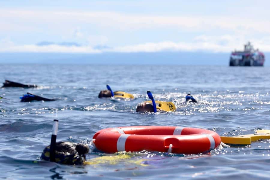 Cairns: All-Inclusive Great Barrier Reef Half-Day Snorkeling - From marina to mooring: a half-day schedule that protects your time
