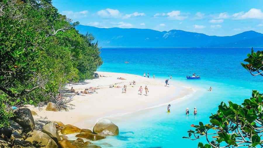 Cairns: Fitzroy Island Ferry w/ Snorkel, Lunch, Tour Options - Fitzroy Island Ferry From Cairns: how the day is paced